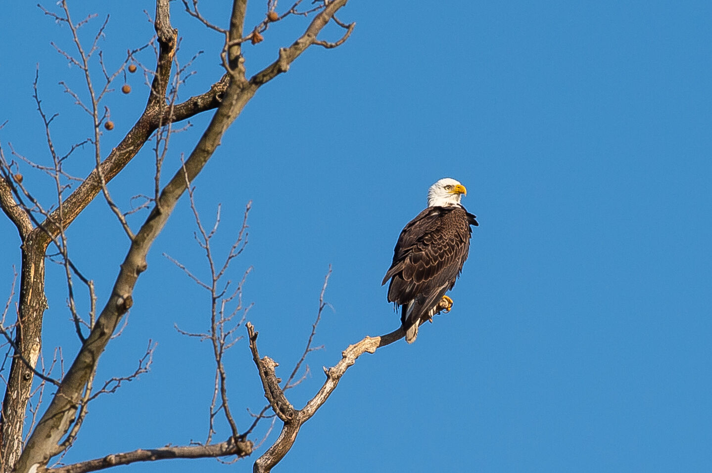 DSC_6038.jpg